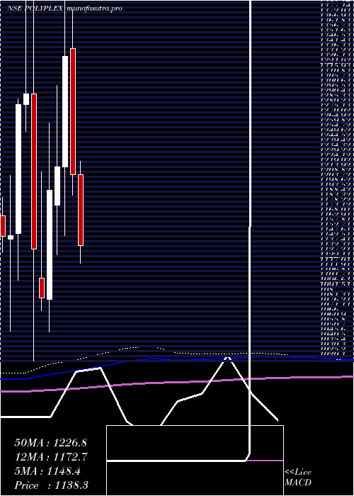 monthly chart PolyplexCorporation