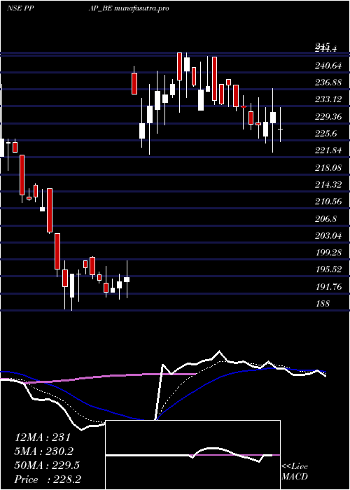 Daily chart PpapAutomotive