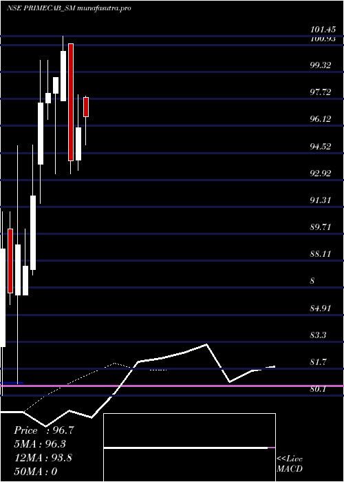  Daily chart PrimeCable