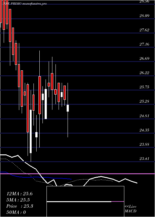 Daily chart PrimoChemicals