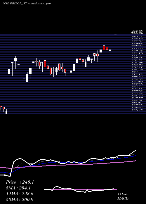 Daily chart PrizorViztech
