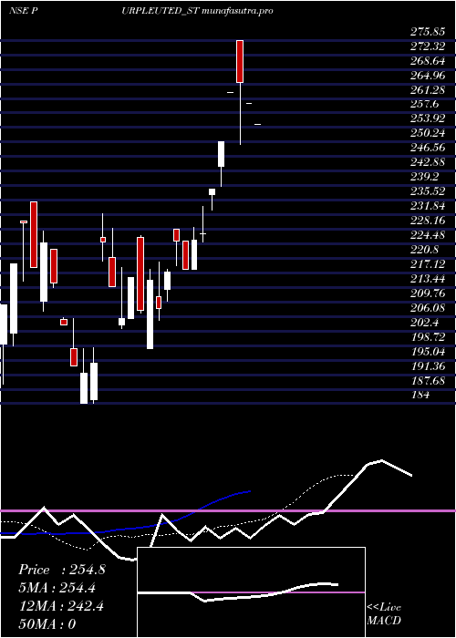 Daily chart PurpleUnited