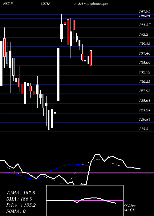 Daily chart PushpaJewellers