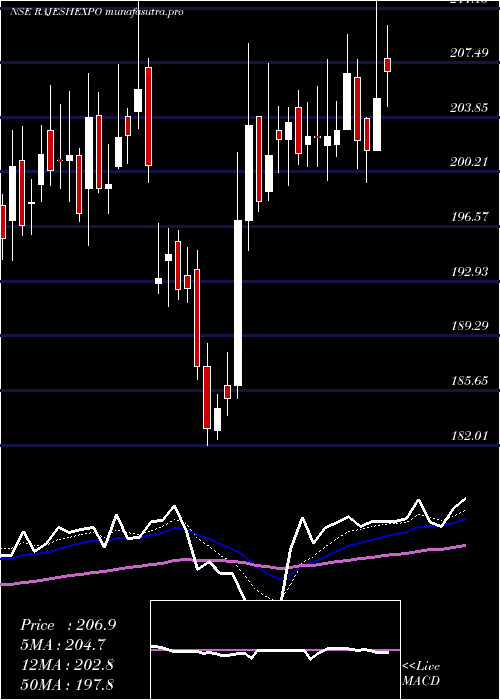 Daily chart RajeshExports