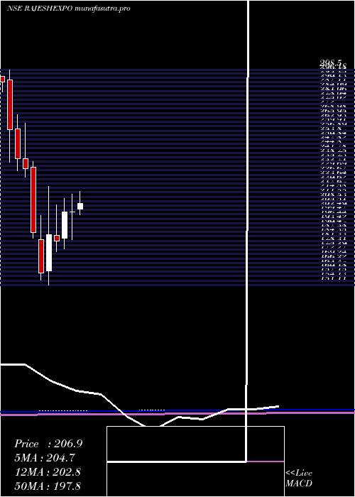 monthly chart RajeshExports