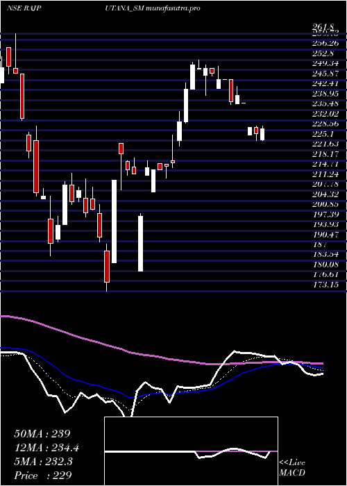 Daily chart RajputanaBiodiesel
