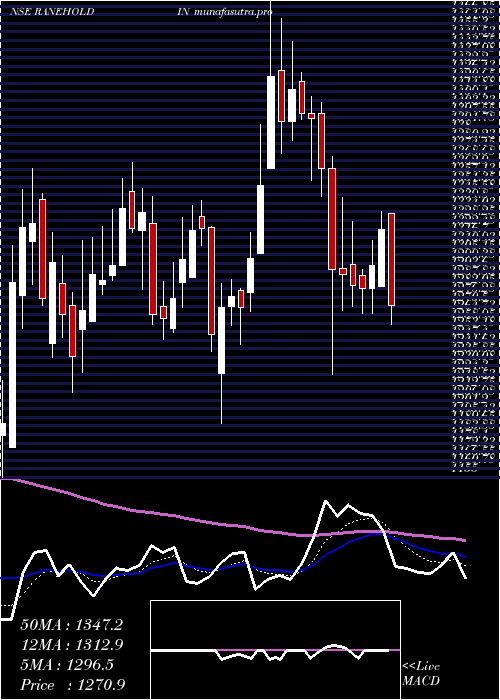 Daily chart RaneHoldings