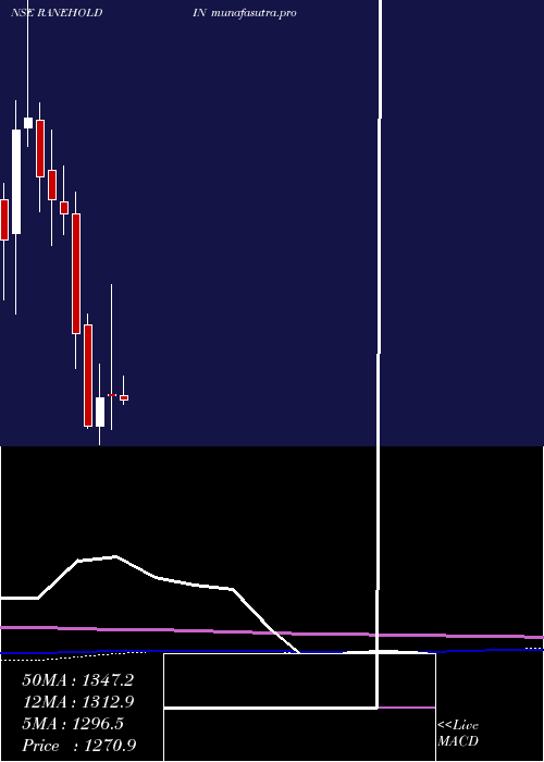 monthly chart RaneHoldings