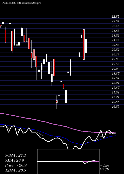 Daily chart RajgorCastor
