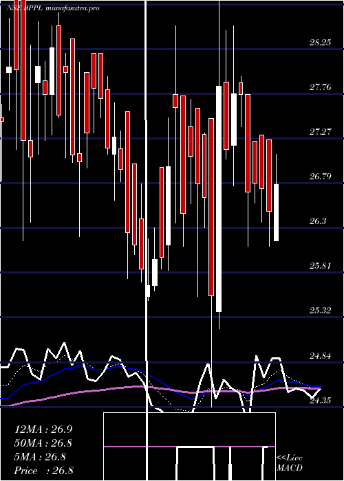 Daily chart RajshreePolypack