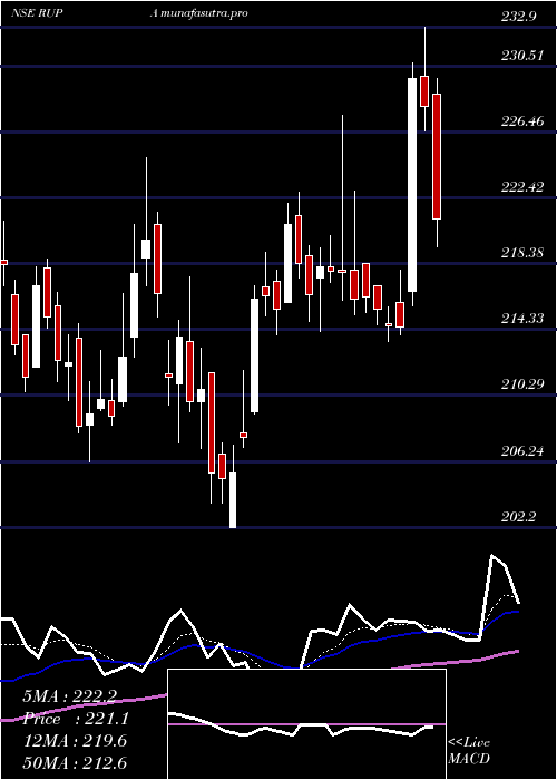 Daily chart RupaCompany