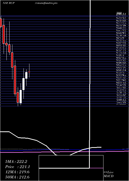 monthly chart RupaCompany