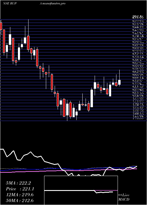 weekly chart RupaCompany