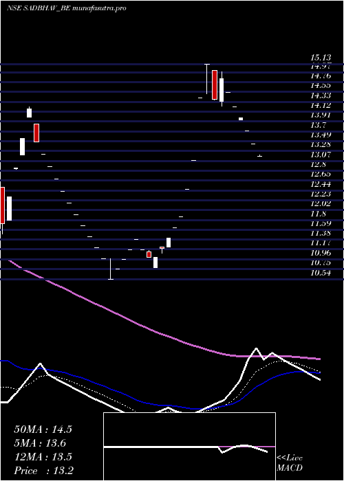 Daily chart SadbhavEngineering