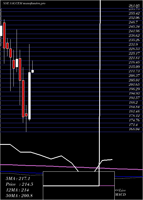 monthly chart SagarCements