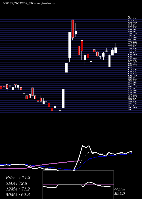 Daily chart SajHotels