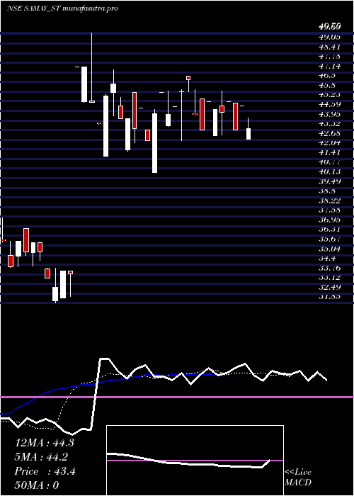 Daily chart SamayProject