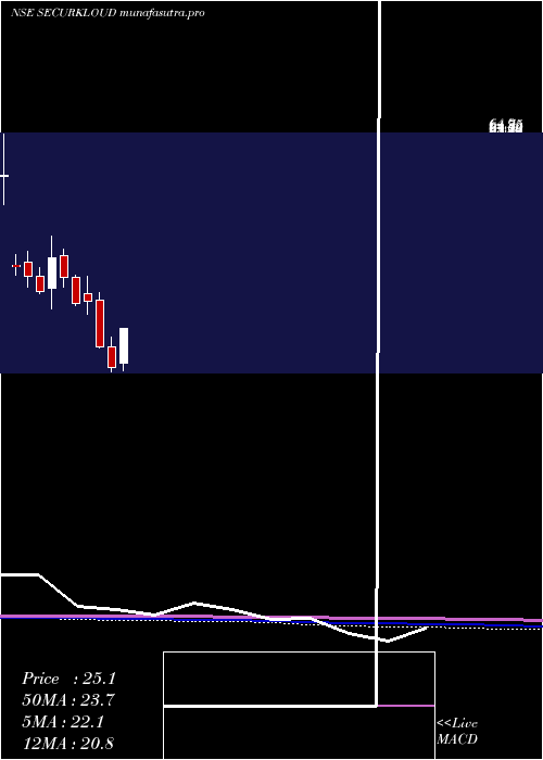 monthly chart SecurekloudTech