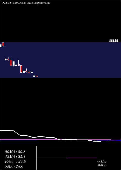 monthly chart SecurekloudTech