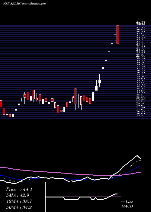  Daily chart SelManufacturing