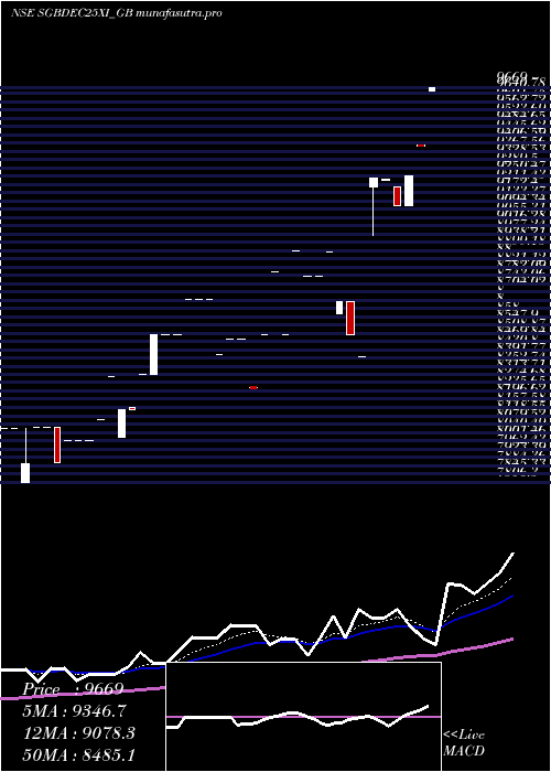  Daily chart 250