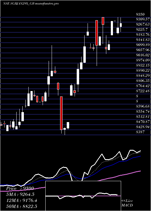 Daily chart 250
