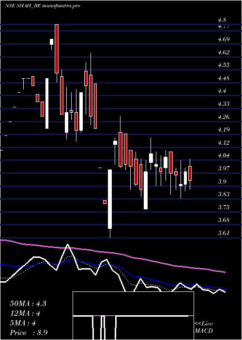 Daily chart ShahMetacorp