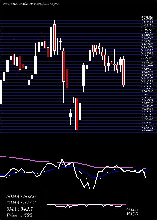 Daily chart ShardaCropchem