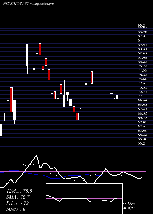 Daily chart ShiganQuantum
