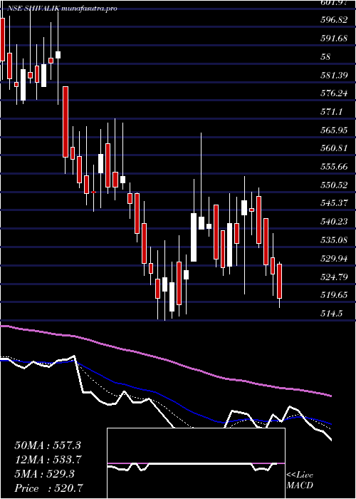 Daily chart ShivalikRasayan