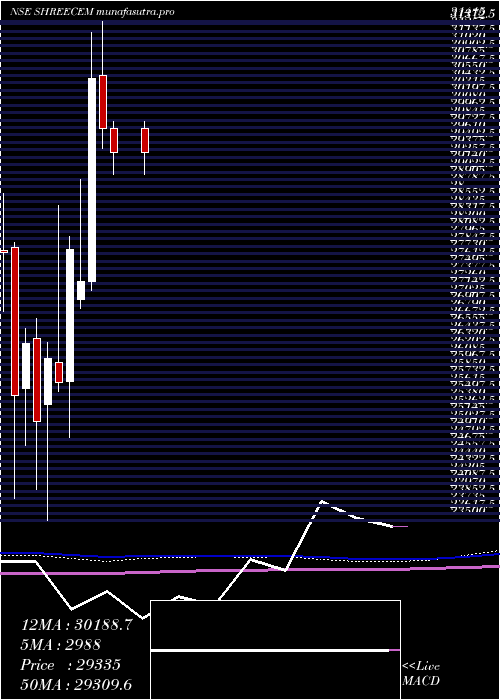 monthly chart ShreeCements