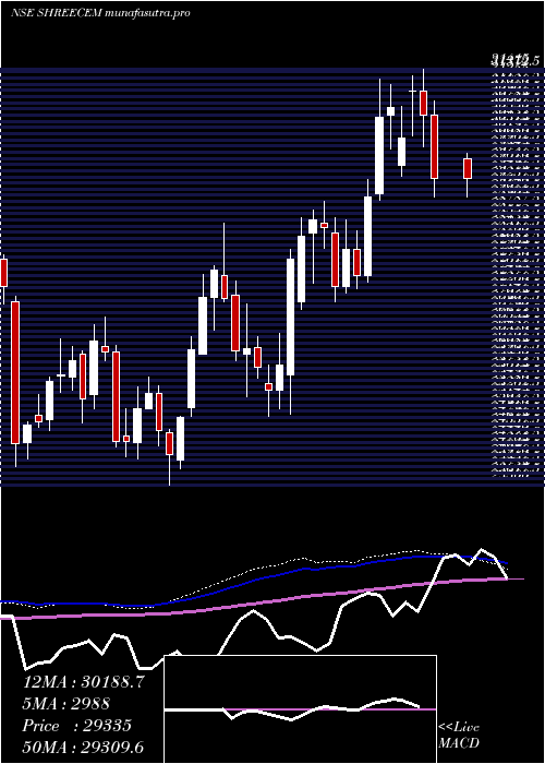 weekly chart ShreeCements