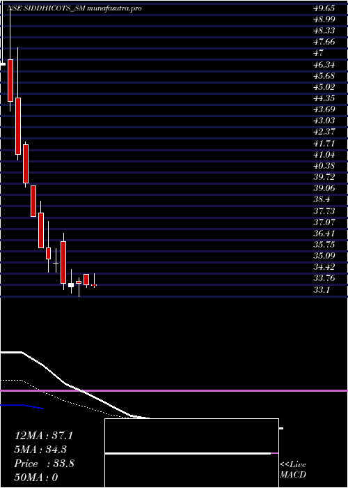  Daily chart SiddhiCotspin