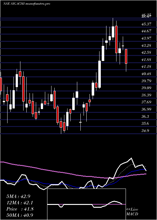 Daily chart SigachiIndustries