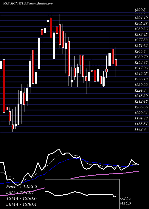 Daily chart SignatureglobalIndia