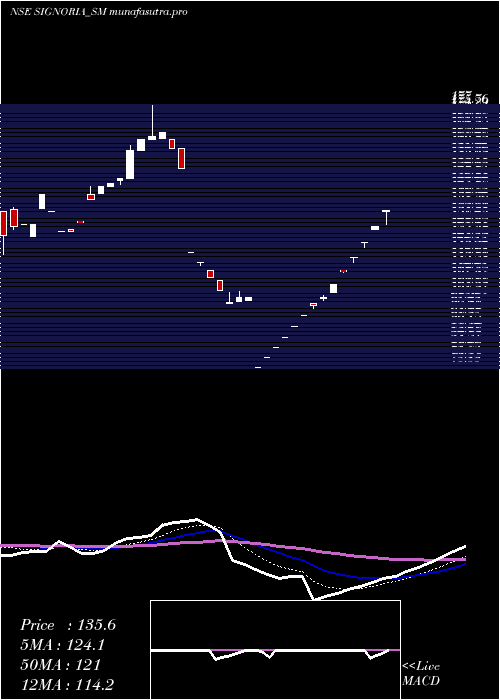 Daily chart SignoriaCreation