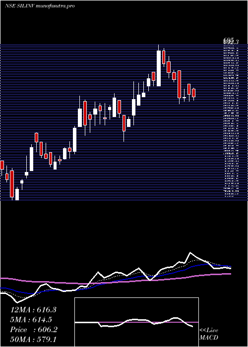 Daily chart SilInvestments
