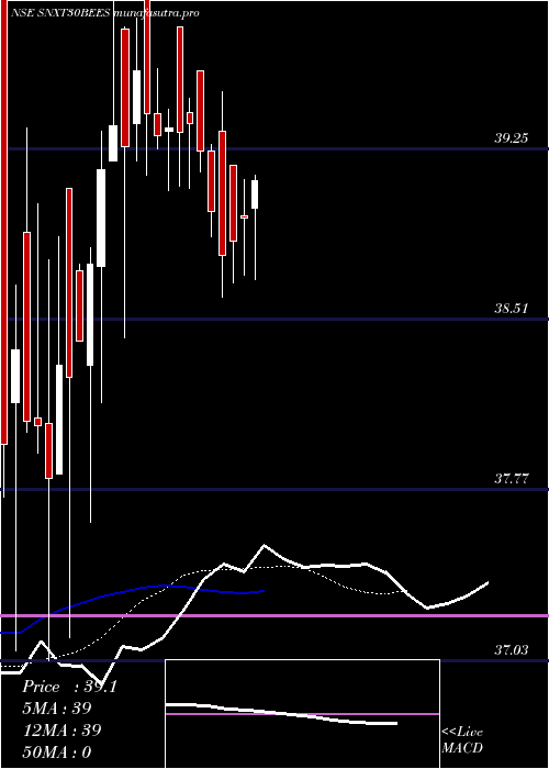 Daily chart NipponamcSnxt30bees