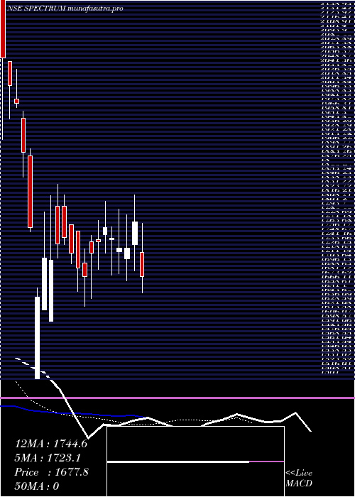Daily chart SpectrumElectric