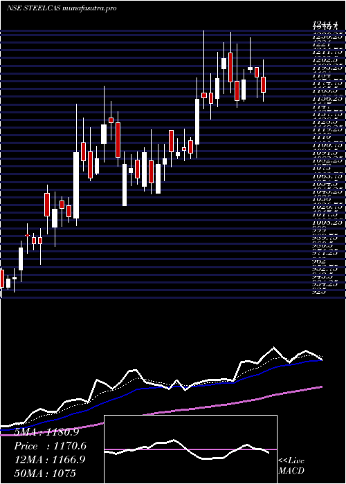 Daily chart Steelcast