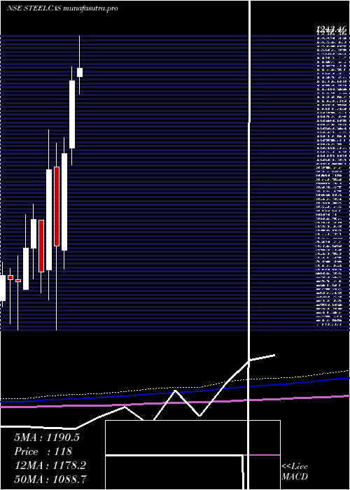 monthly chart Steelcast