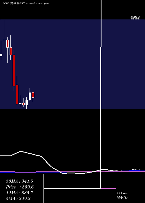 monthly chart SurajEstate