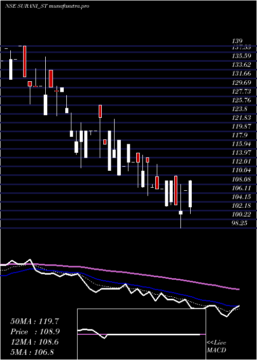 Daily chart SuraniSteel