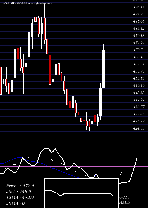 Daily chart SwanCorp