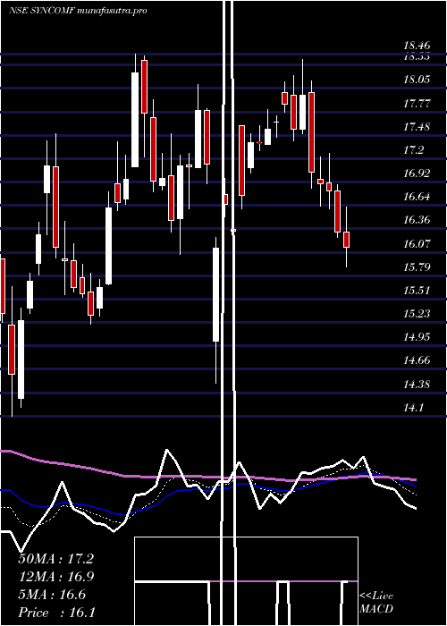 Daily chart SyncomFormu