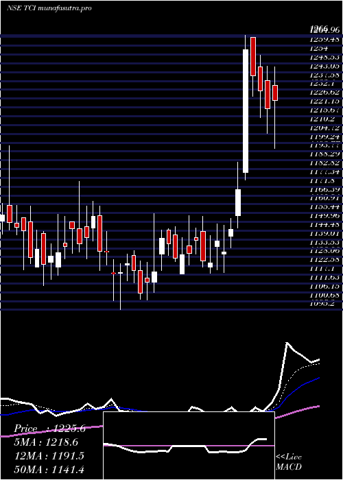 Daily chart TransportCorporation