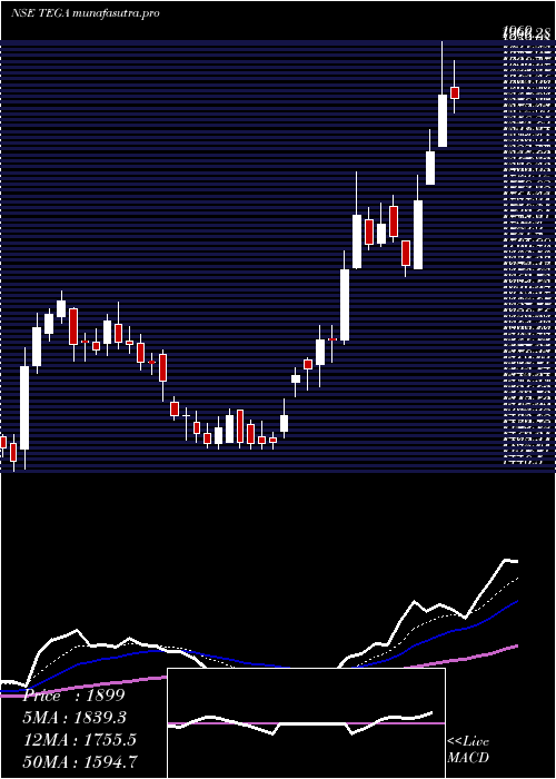 Daily chart TegaIndustries