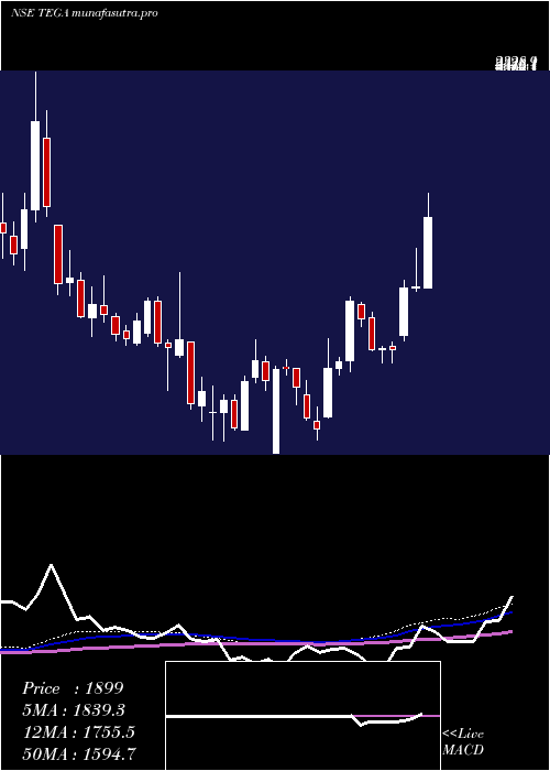 weekly chart TegaIndustries