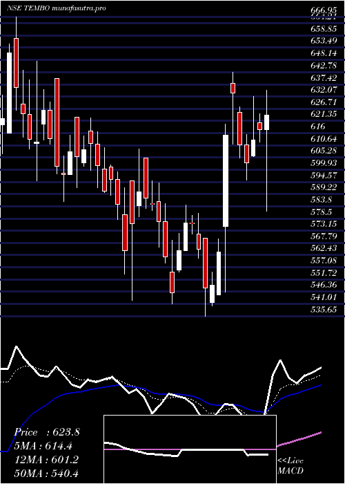  Daily chart TemboGlobal