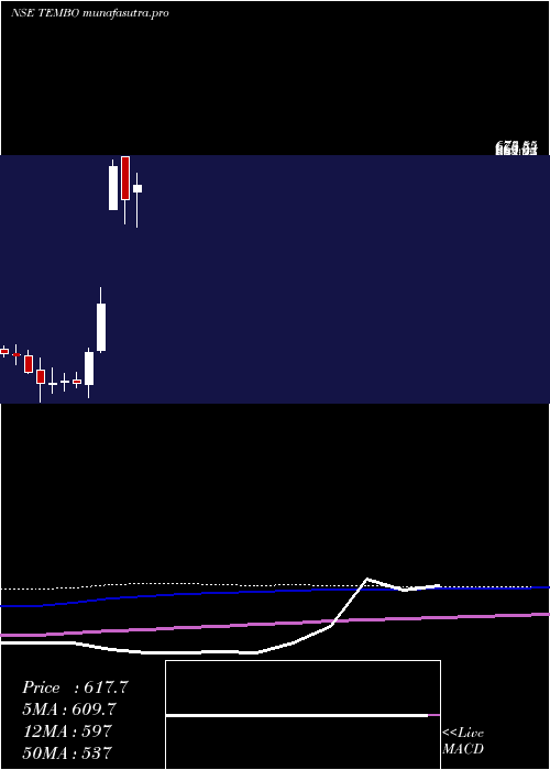  monthly chart TemboGlobal